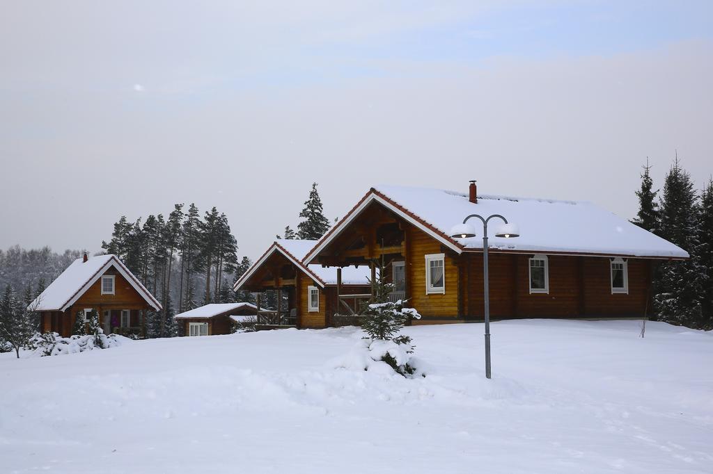 Villa Viesu Majas Briedisi Raiskums Habitación foto